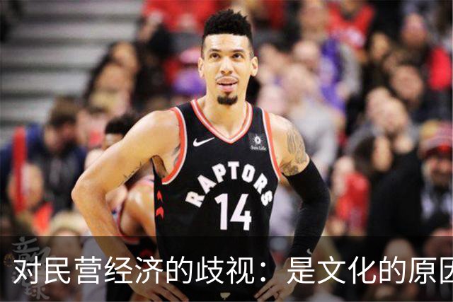 对民营经济的歧视:是文化的原因,还是意识形态的推动